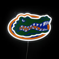 Florida Neon Sign