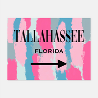 Blue/Pink;tallahassee