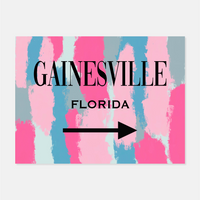 Blue/Pink;gainesville