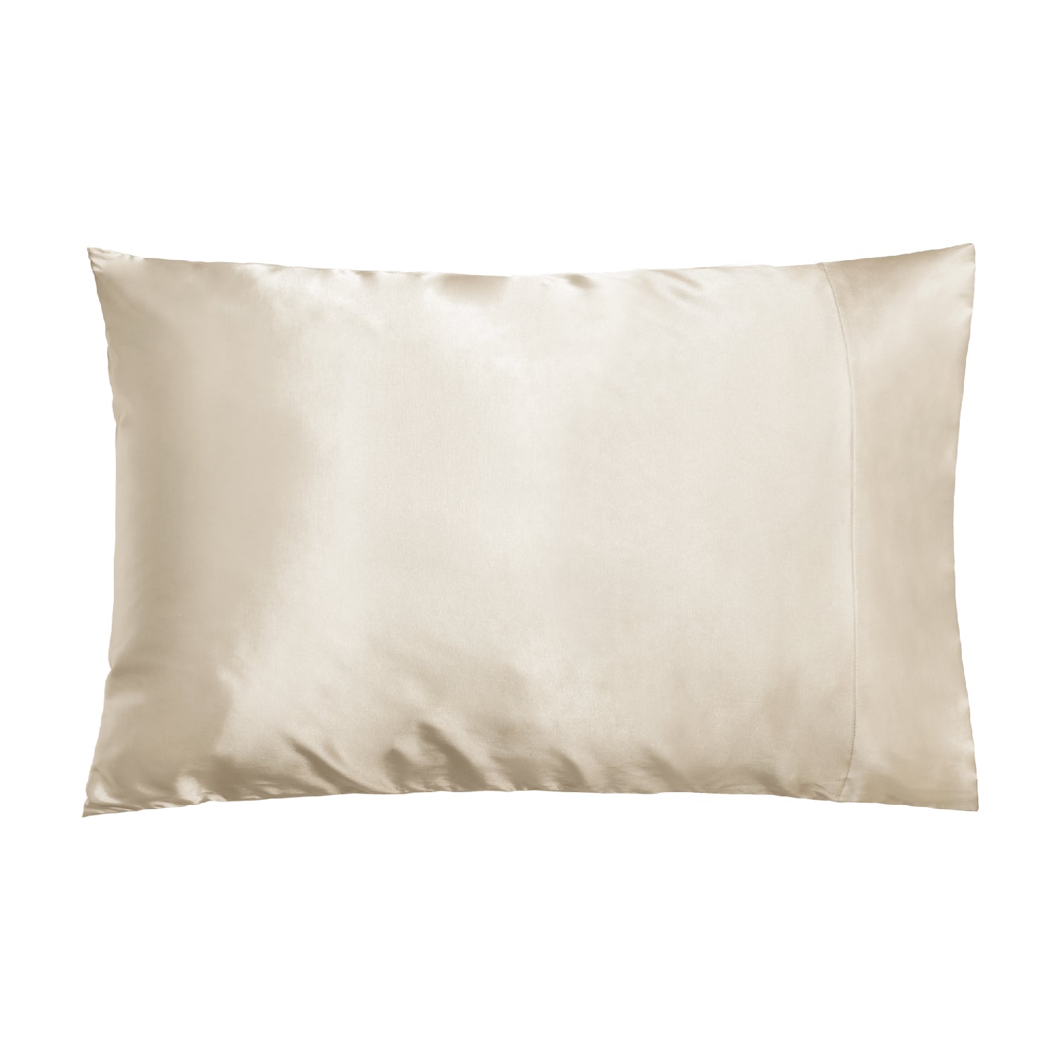 Wet or Dry Hair Pillowcase - Dormify